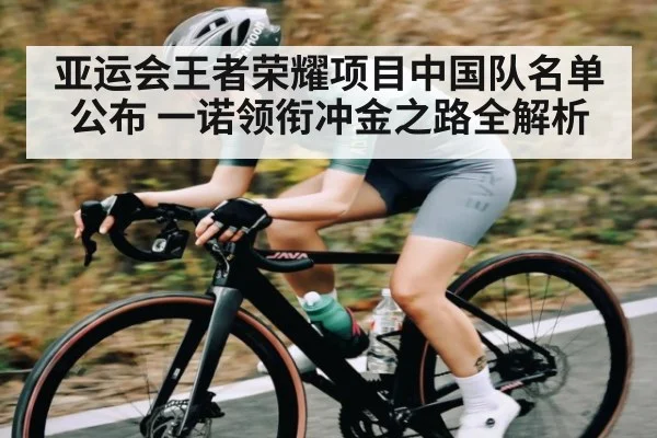 亚运会王者荣耀项目中国队名单公布 一诺领衔冲金之路全解析