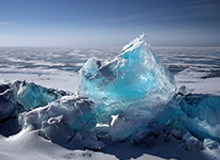 世界杯赛程-上海女排胜福建取联赛开门红 两大外援发挥不俗